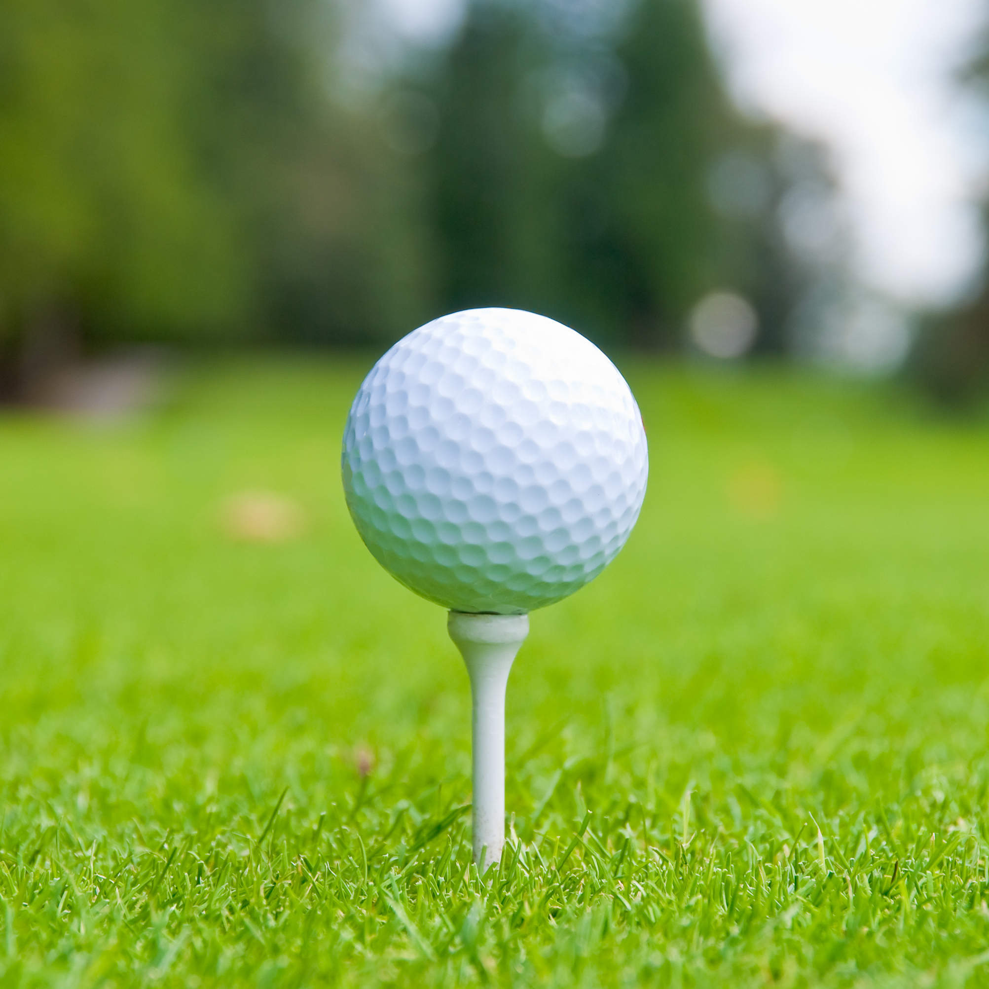 Golf Ball And Tee Clip Art